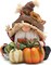 Handmade Swedish Tomte Gnomes Elf for Fall Thanksgiving Decor Gift(Multicolor)